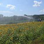 Photo taken by Lyon K