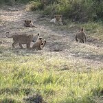 Photo taken by Gabrielle A