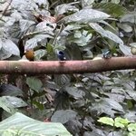 Photo taken by Ora Y