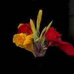 Photo taken by Brian C