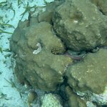 Photo taken by LaTasha J