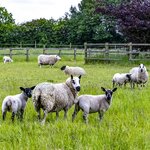 Photo taken by Jean M