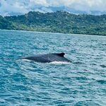 Photo taken by Blair H