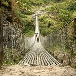 Photo taken by Tyler W