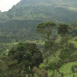 Photo taken by Miranda M