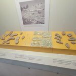 Photo taken by Jason S