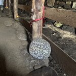 Photo taken by Lisa T