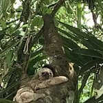 Photo taken by Karen P