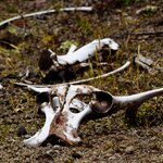 Photo taken by Sabine V