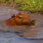 Photo taken by Dennis H