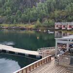 Photo taken by Tamara N