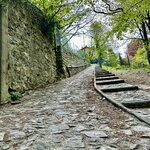 Photo taken by Frank S