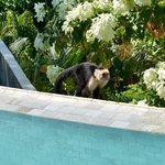 Photo taken by William R