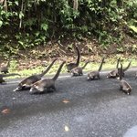 Traffic Costa Rican style | Photo taken by Joseph F