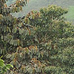 Photo taken by Marcia G