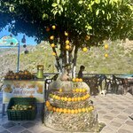 Photo taken by Jill T