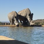 Photo taken by Ingenie D