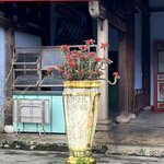 Photo taken by Susan & Bob M