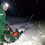 Dog mushing through woods and fields in heavy snow | Photo taken by Anita C