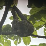 Photo taken by Dana F