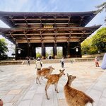 Photo taken by Kaya W