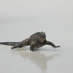 Photo taken by Patricia D