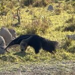 Photo taken by Sathees R