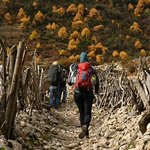 Photo taken by Tyler W