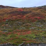 Enroute to Siglufjordur via a stop at Hofsos  | Photo taken by Judith M
