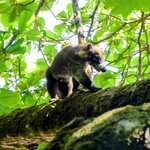 Photo taken by Brett F