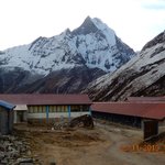 Photo taken by Wayne D