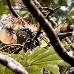 Photo taken by Ben B