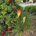 Photo taken by Ruth R