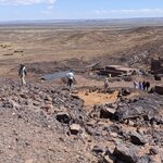 Photo taken by Cynthia D