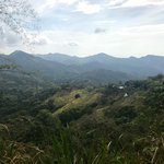 The view on our way up to the cacao farm | Photo taken by Sophie E