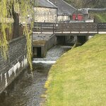 Photo taken by George B