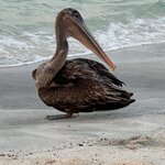 Photo taken by Mark A