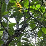 Photo taken by Edit M