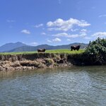 Photo taken by Mohan I