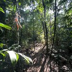 Photo taken by Dion F