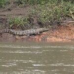 Photo taken by Ora Y