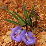 Photo taken by Linda M