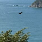 Photo taken by Ora Y