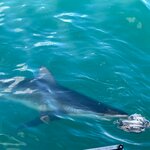 Photo taken by Kolla S