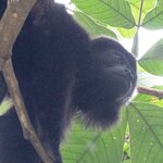 Photo taken by Joyce C