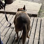 Photo taken by Rosemary S