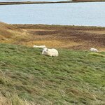 Photo taken by Sue F