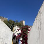 Photo taken by Deborah B