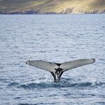 Photo taken by Gina O