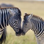 Photo taken by Joaquin M